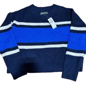 NWT American Eagle Blue Big Striped Sweater - M